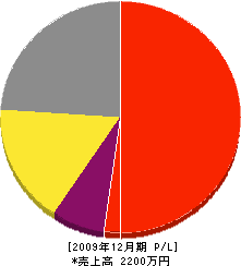 緑電設 損益計算書 2009年12月期