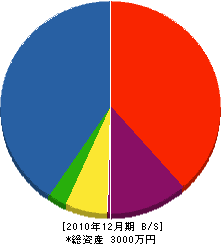 大崎建築 貸借対照表 2010年12月期