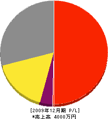 東豊建設 損益計算書 2009年12月期