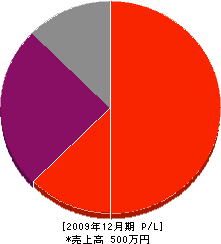 田島表具店 損益計算書 2009年12月期