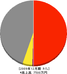 桝井建築 損益計算書 2009年12月期