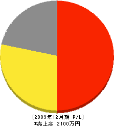 畳三中村三次郎商店 損益計算書 2009年12月期