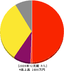 南美装 損益計算書 2009年12月期