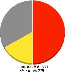 遠崎工業 損益計算書 2009年12月期