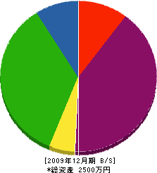 石橋建設 貸借対照表 2009年12月期