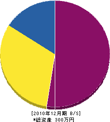 平川畳店 貸借対照表 2010年12月期