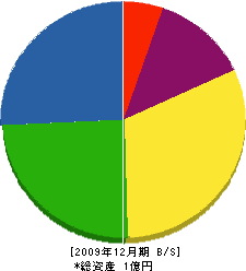 雄豊建設 貸借対照表 2009年12月期