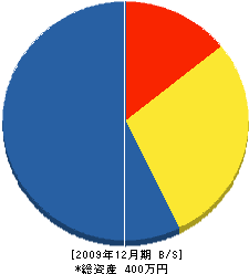 最高建設興業 貸借対照表 2009年12月期