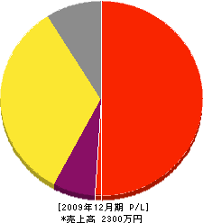 川勝造園 損益計算書 2009年12月期