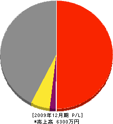 中西組 損益計算書 2009年12月期