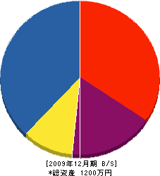斉藤外柵資材工業 貸借対照表 2009年12月期