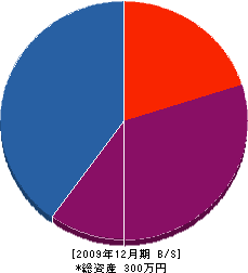 ハマ冷機設備 貸借対照表 2009年12月期