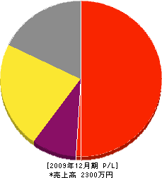 藤岡植物園 損益計算書 2009年12月期