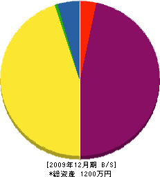 セイウン産業 貸借対照表 2009年12月期