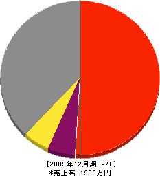 イケダ・ホーム 損益計算書 2009年12月期