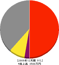 沼田工務店 損益計算書 2009年12月期