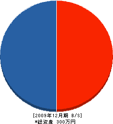 新津工務店 貸借対照表 2009年12月期