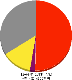 辻木工所 損益計算書 2009年12月期