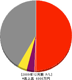 森田電器 損益計算書 2009年12月期