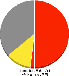 アクア・サポート 損益計算書 2009年12月期