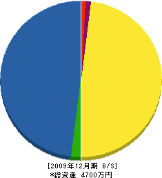 タイガー建設 貸借対照表 2009年12月期
