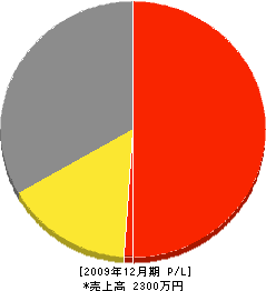 大陽 損益計算書 2009年12月期