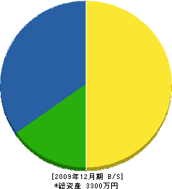 宮﨑環境緑地 貸借対照表 2009年12月期