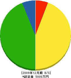 大盛建設 貸借対照表 2009年12月期