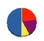 平岩技建 貸借対照表 2010年6月期