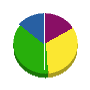 輪島塗装 貸借対照表 2013年1月期