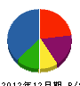 大川内塗装工業 貸借対照表 2012年12月期