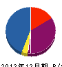 若林塗装工業 貸借対照表 2012年12月期