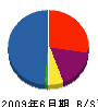 川村設備 貸借対照表 2009年6月期