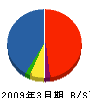 静岡新日軽 貸借対照表 2009年3月期