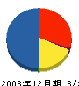 ペービックアイヅ 貸借対照表 2008年12月期