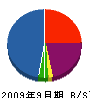 新井電子 貸借対照表 2009年9月期
