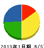 藤尾 貸借対照表 2013年1月期