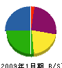 堀田興業 貸借対照表 2009年1月期
