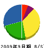 若山電工 貸借対照表 2009年9月期