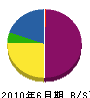 三川 貸借対照表 2010年6月期