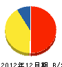 丸眞工業 貸借対照表 2012年12月期