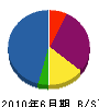 誠和光建 貸借対照表 2010年6月期