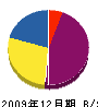 西川塗装店 貸借対照表 2009年12月期