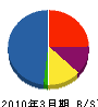 システムエンジニア沖縄 貸借対照表 2010年3月期