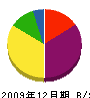 瀬川工務店 貸借対照表 2009年12月期
