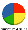 中電気商会 貸借対照表 2009年12月期