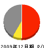 日江環境開発 損益計算書 2009年12月期