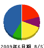 東亜防水リメーク 貸借対照表 2009年6月期