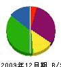 木崎鉄工建設 貸借対照表 2009年12月期