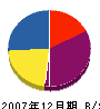 イワサキ塗装 貸借対照表 2007年12月期